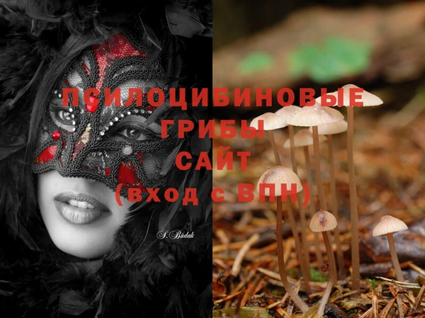 соль курить ск Няндома