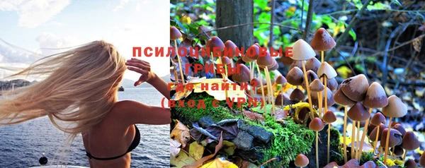 МДПВ Нягань