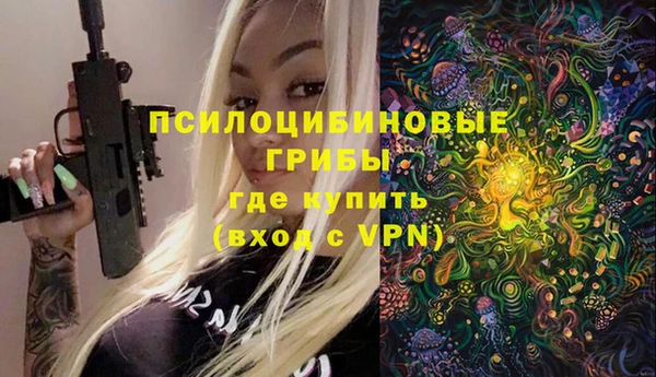 соль курить ск Няндома