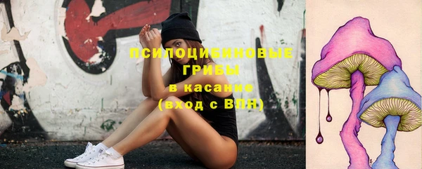 соль курить ск Няндома