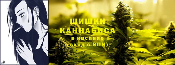 МДПВ Нягань