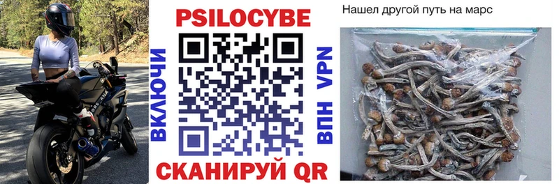 Галлюциногенные грибы Psilocybine cubensis  Нижняя Салда 